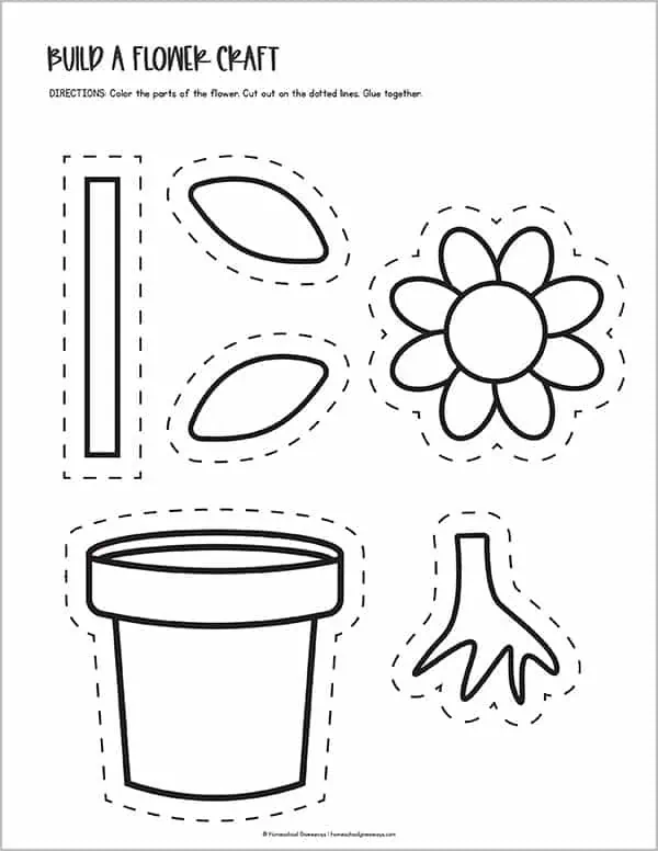 FREE Printable Parts of a Flower Worksheets For Kids