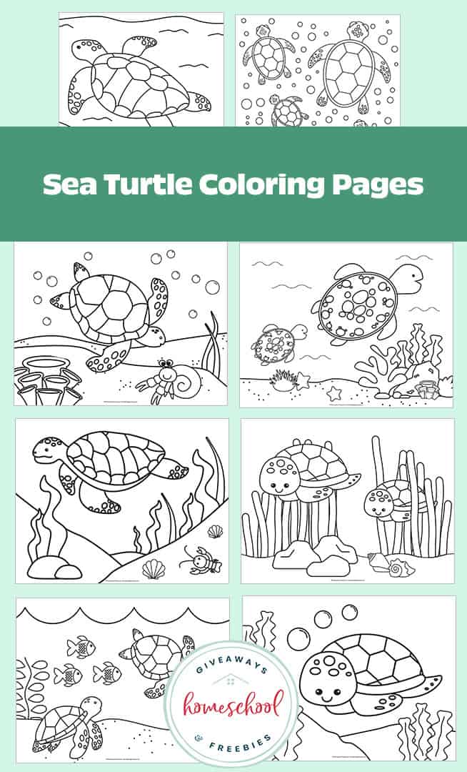 Free Printable Sea Turtle Coloring Pages &amp; Templates