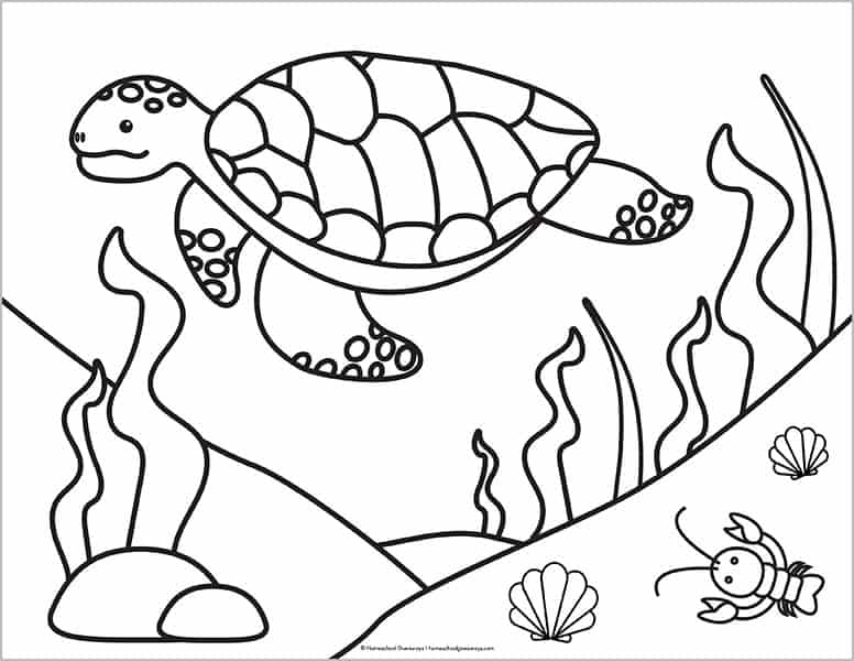 loggerhead turtle coloring sheet
