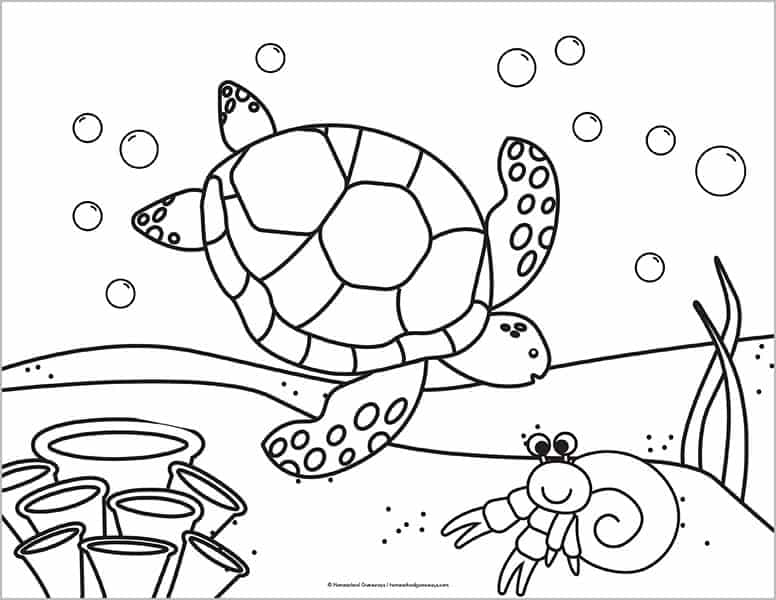 beautiful sea turtle coloring page