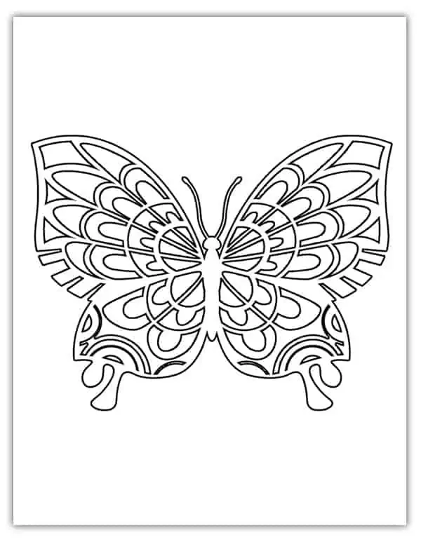 detailed butterfly template