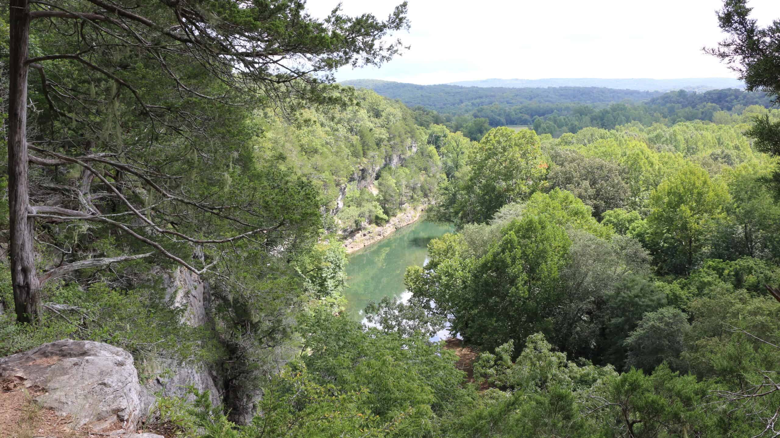 A view of the Buffalo River from Goat Bluff Overlook
