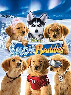 snow buddies golden retrievers and a husky