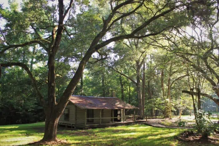 wood cabin with trees