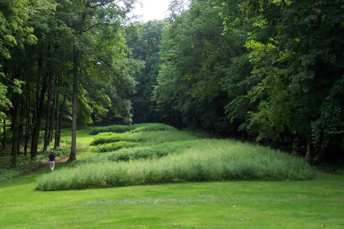 Marching Bear Group mounds with a visitor
