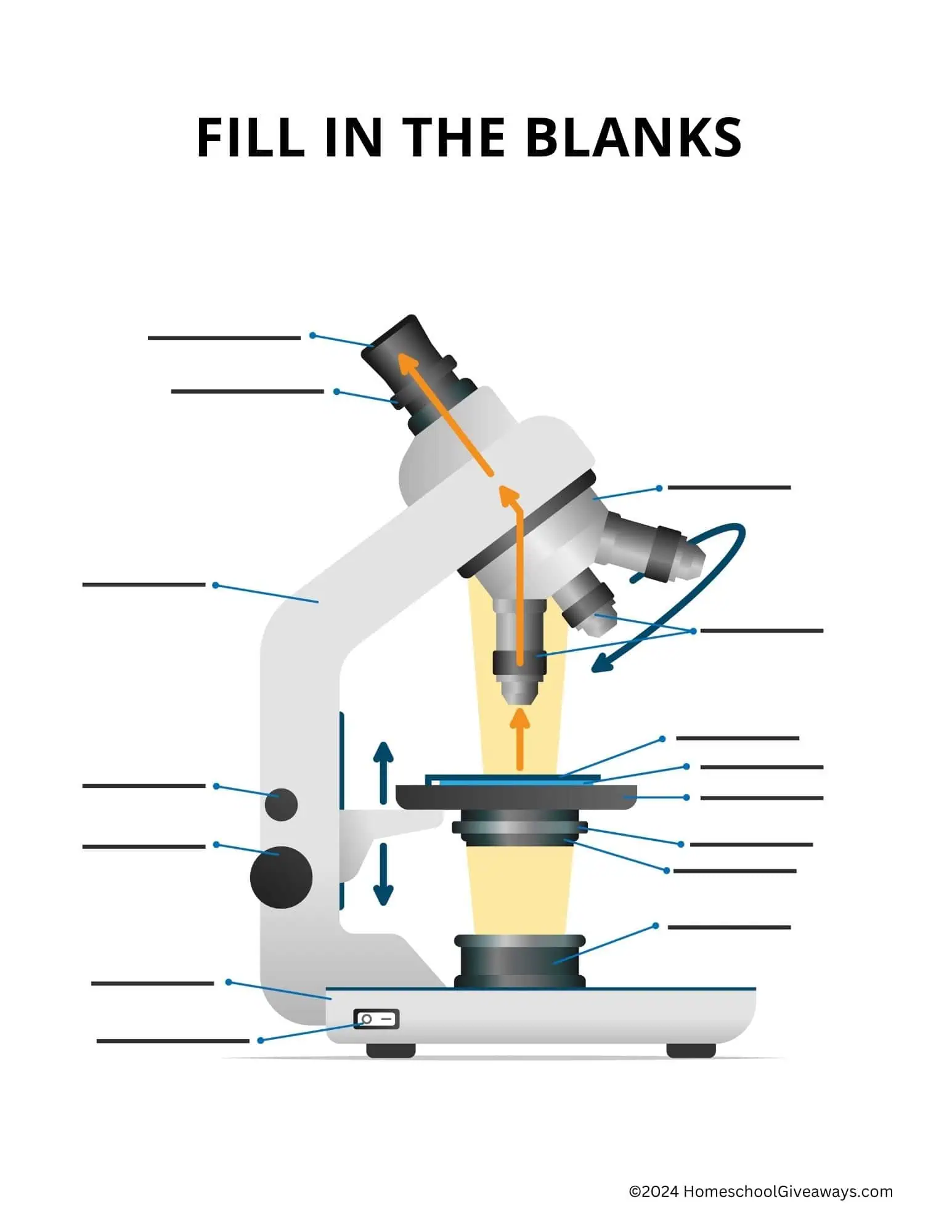 label microscope worksheet with microscope and lines to label each part