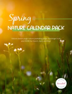 Spring Nature Calendar Activities - Homeschool Giveaways