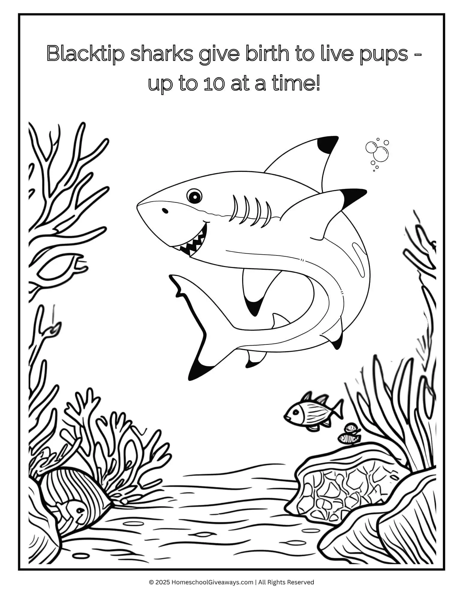 Blacktip shark coloring page featuring a happy blacktip shark swimming past coral and fish.