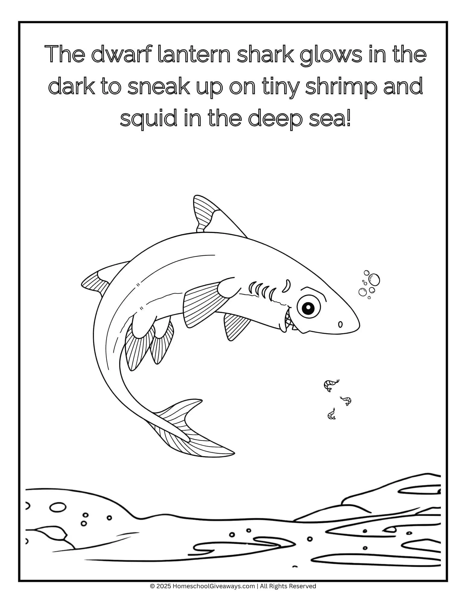 Dwarf lantern shark coloring page showing a  dwarf lantern shark swimming in deep water with three shrimp nearby.