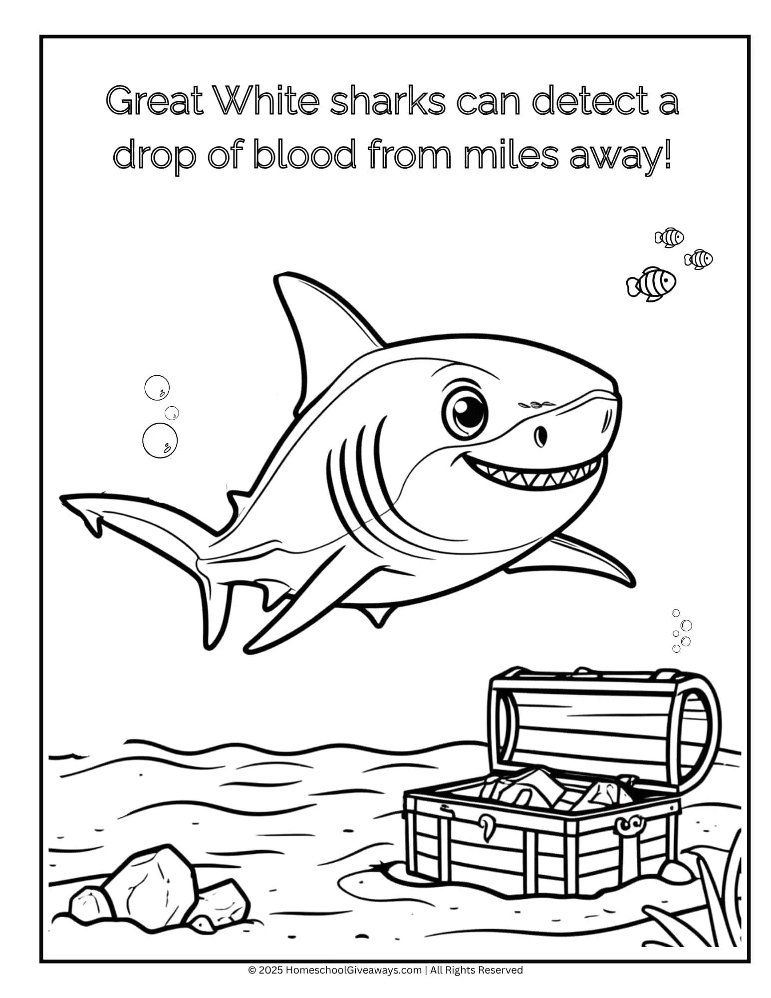  Great White shark coloring page showing a smiling shark swimming near a treasure chest on the sea floor.