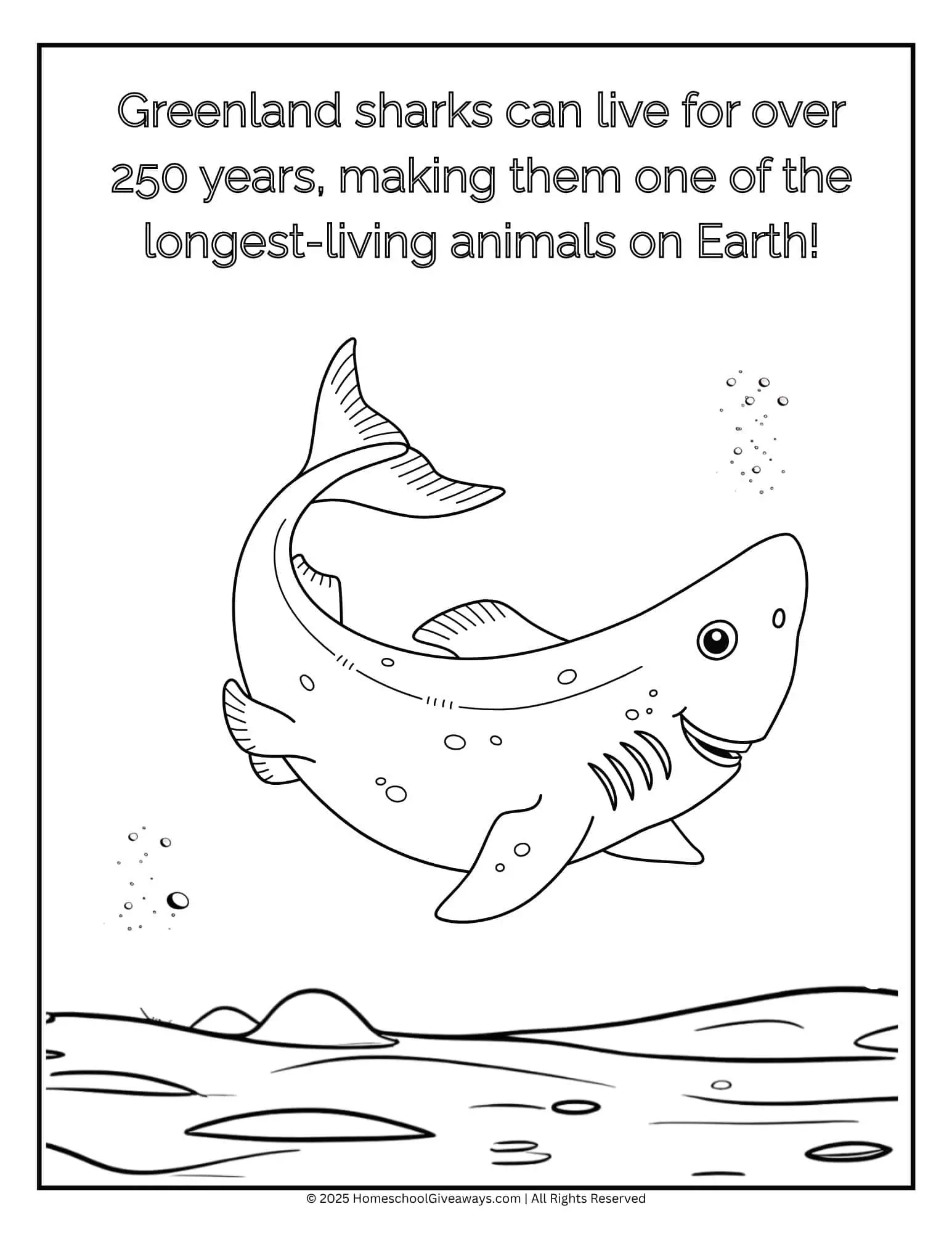 Greenland shark coloring page showing a Greenland shark gliding through deep, dark icy water with light snow-like particles.