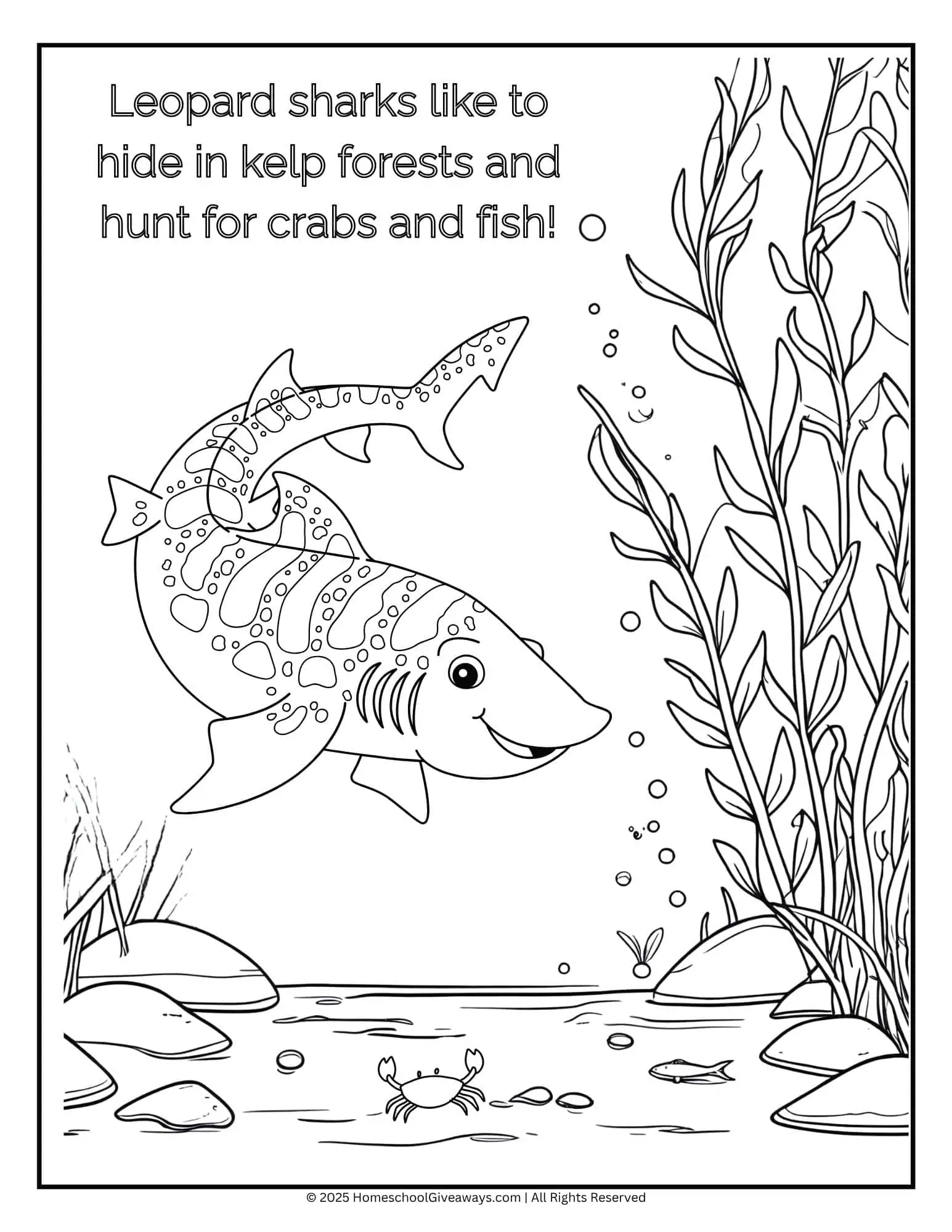 Leopard shark coloring page depicting a leopard shark weaving through tall sea kelp with a crab nearby.