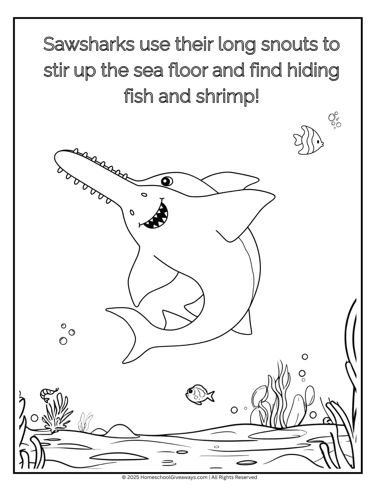 Sawshark coloring page showing a sawshark swimming near the sea floor with seaweed, fish, and shrimp.