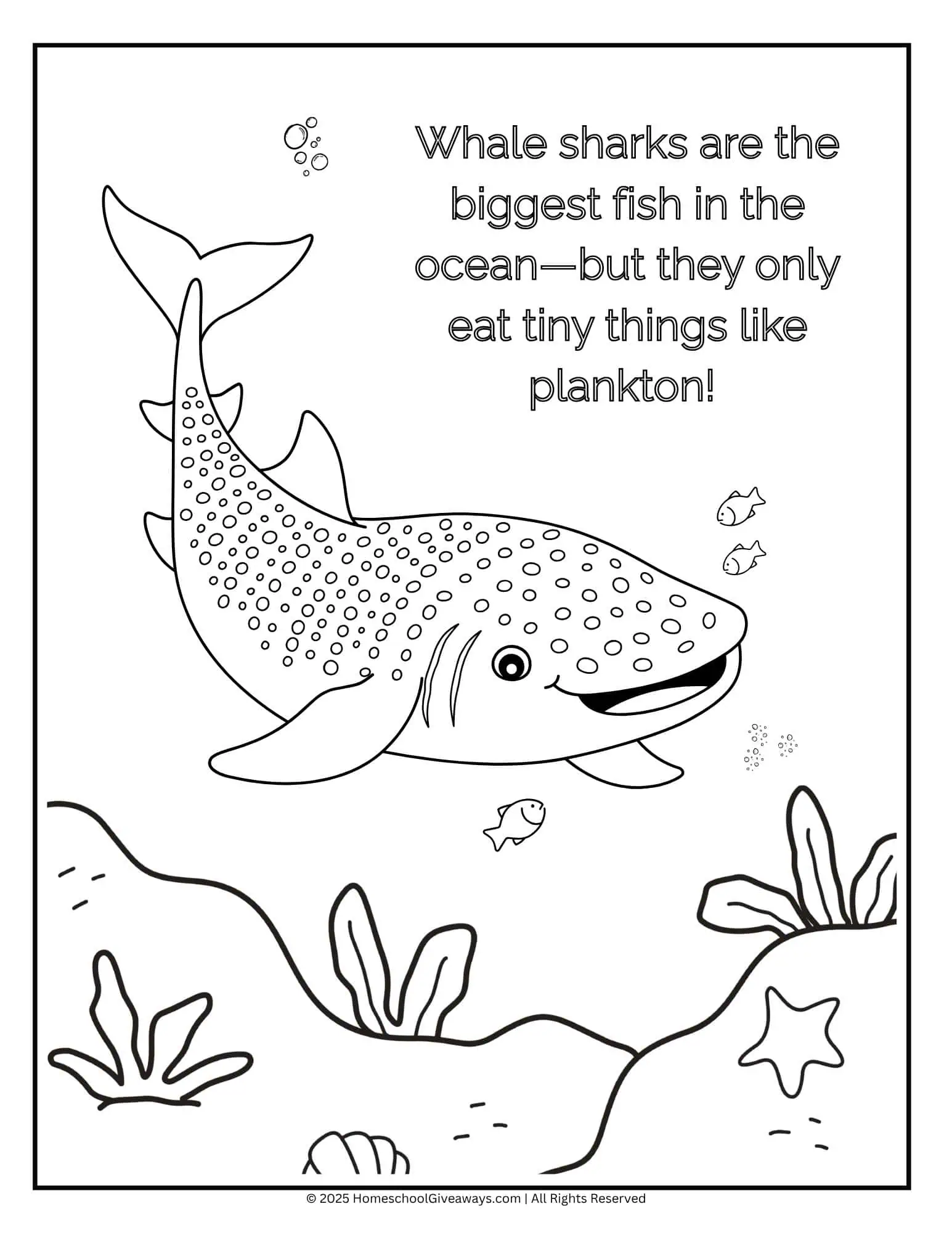 Whale shark coloring page showing a friendly whale shark swimming near the ocean surface with pilot fish and plankton.