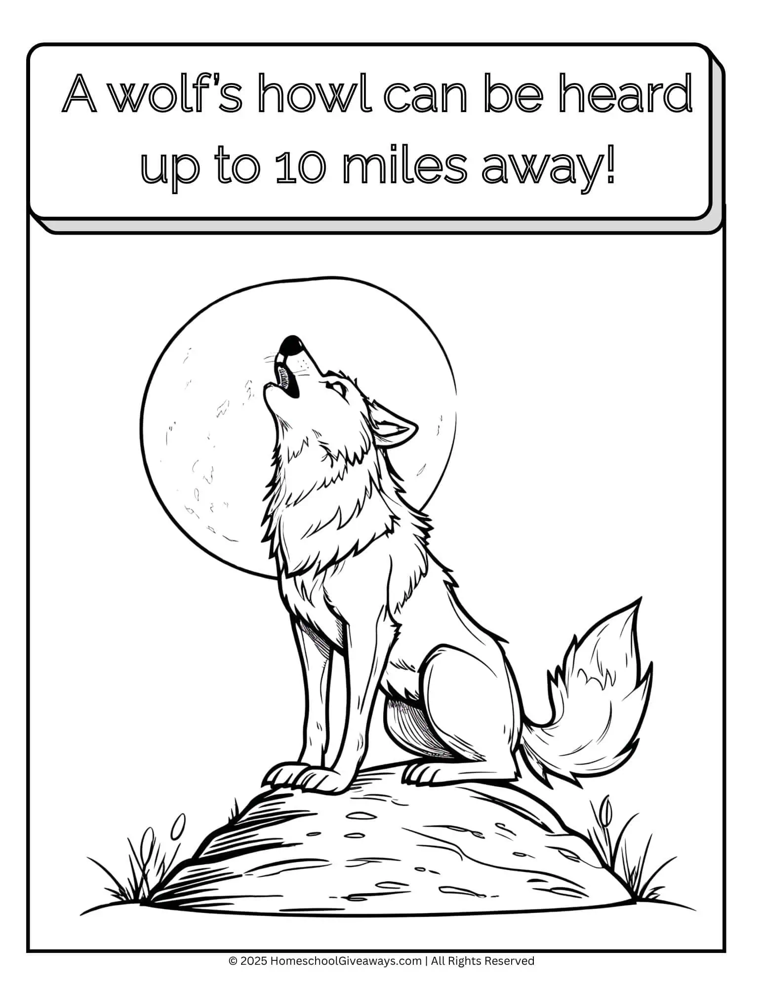 howling wolf coloring page with wolf howling with a moon behind it.  Pages also says "A wolf’s howl can be heard up to 10 miles away!"