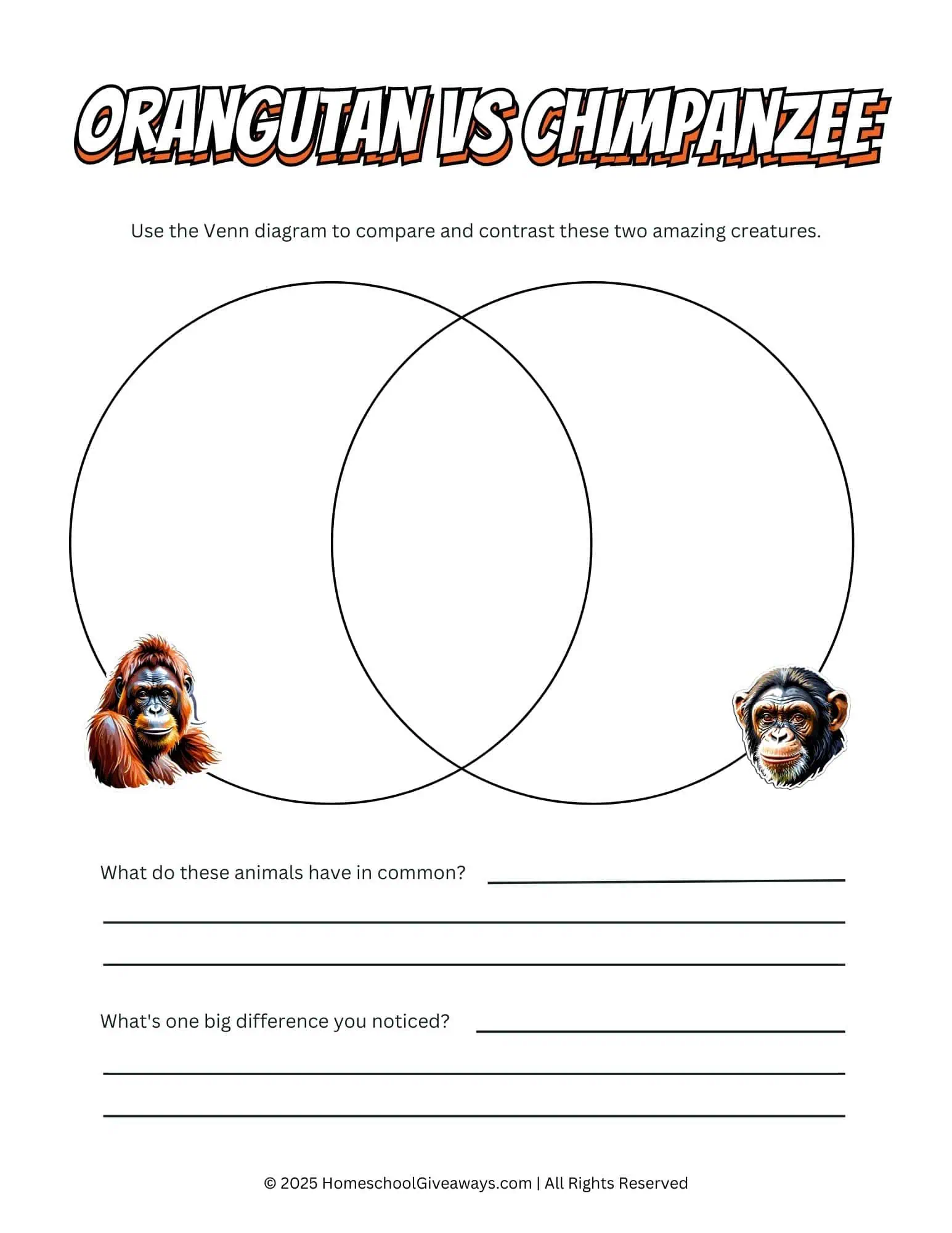 Printable Venn diagram worksheet for kids comparing chimpanzees and orangutans. The diagram has two overlapping circles, with a small illustration of an orangutan by one circle and a chimpanzee by the other.