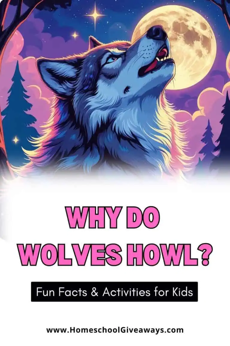 Colorful illustration of a wolf howling at a glowing full moon in a magical forest at night. The image includes the title text: "Why Do Wolves Howl? Fun facts and activities for kids."