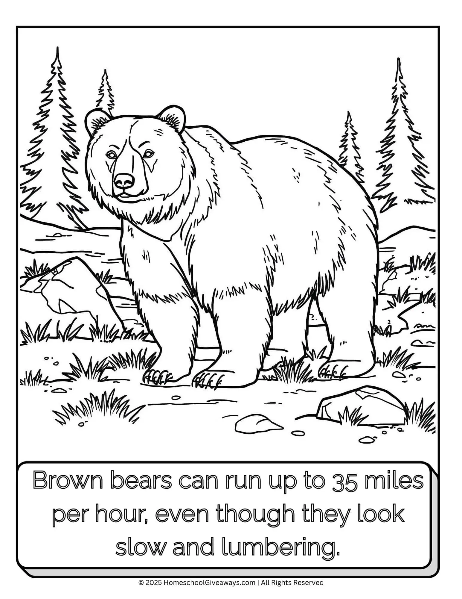 Black-and-white coloring page of a brown bear standing in a forest clearing, with a fun fact about its speed, ready for kids to color.