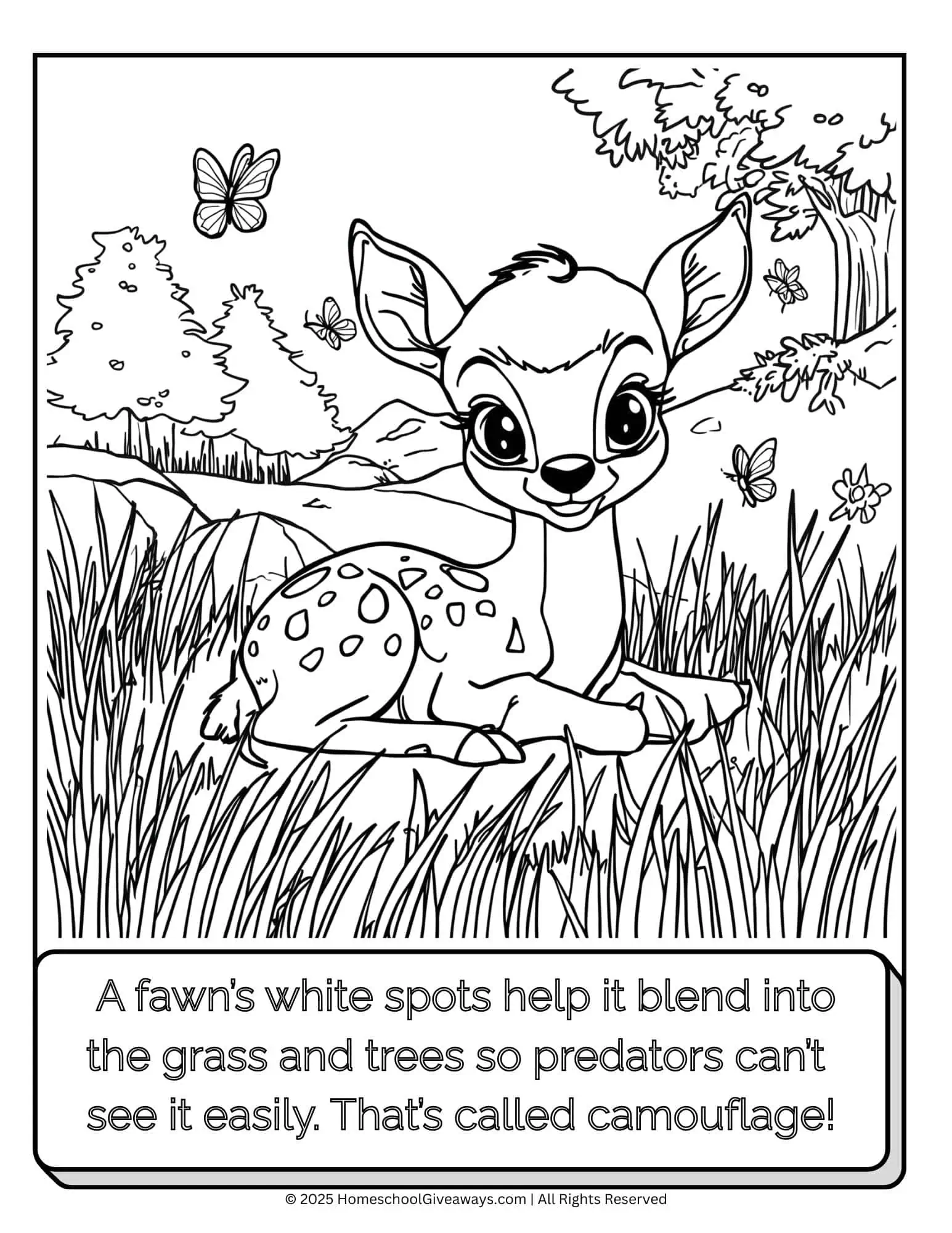 Printable fawn coloring page. Fawn is lying in the grass with butterflies nearby, including a fun fact about how its white spots help it blend into the wild.