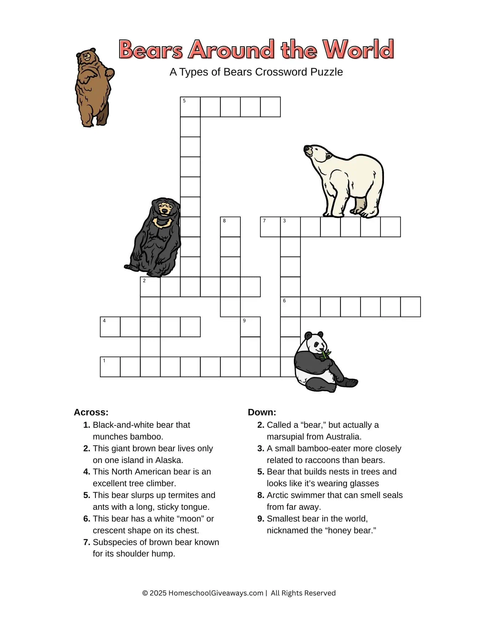 Printable crossword for kids featuring the types of bears, with images of a polar bear, panda, sloth bear, brown bear, and Asiatic black bear.