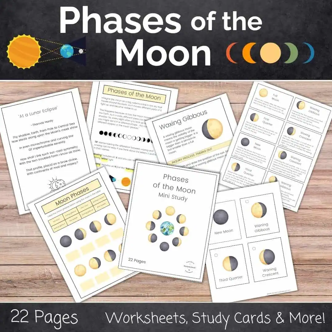 phases of the moon worksheet preview pages